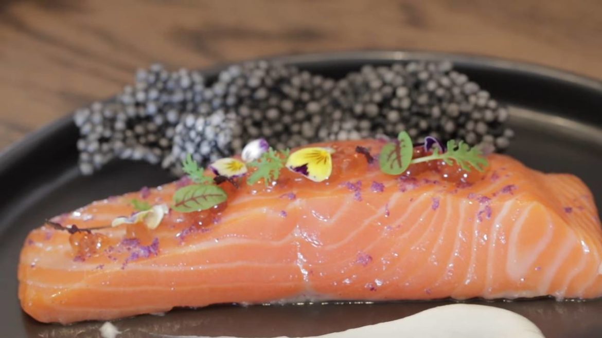 Home-with-Snowcology-00-02-56 Home-with-Snowcology