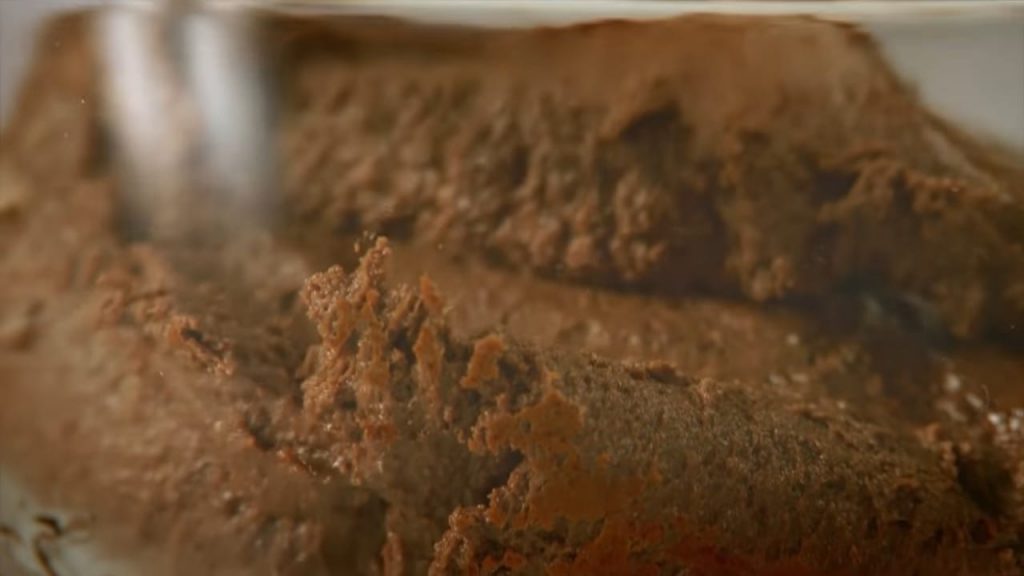 CHOCOLATE Hazelnut BRIOCHE CAKE