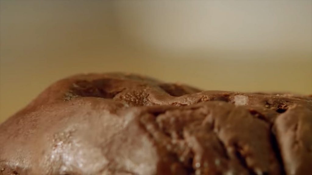 CHOCOLATE Hazelnut BRIOCHE CAKE